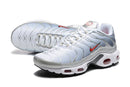Air Max Plus TN 1 “Silver”