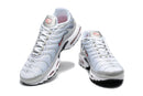 Air Max Plus TN 1 “Silver”