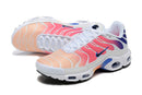 Air Max Plus TN 1 “blue and pink”