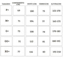 Conjunto Tracksuits Real Madrid