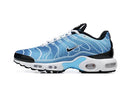 Nike Air max plus Tn “Blue PHOTOGRAPHY“