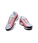 Air Max Plus TN 1 “GS Fire”